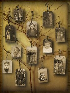 Family tree with branches...